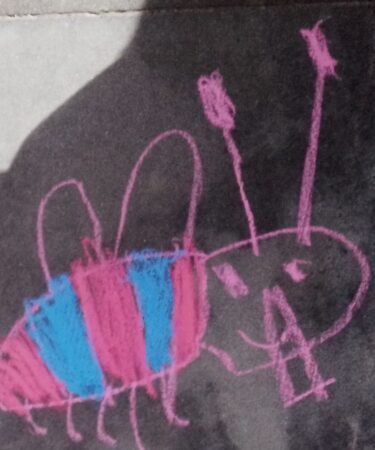 Un'ape disegnata con i gessetti con colori rosa e e azzurro. Realizzata durante un laboratorio di Favolara