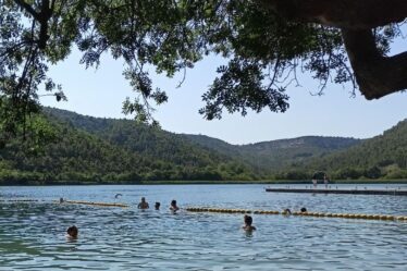 Alcune persone fanno il bagno nel fiume Krka, in primo piano si vede un albero e sullo sfondo delle verdi colline.