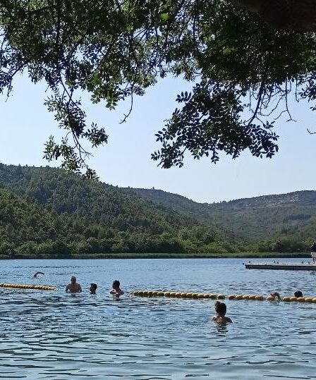 Alcune persone fanno il bagno nel fiume Krka, in primo piano si vede un albero e sullo sfondo delle verdi colline.