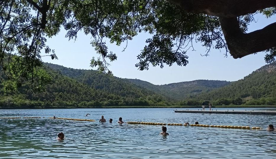 Alcune persone fanno il bagno nel fiume Krka, in primo piano si vede un albero e sullo sfondo delle verdi colline.