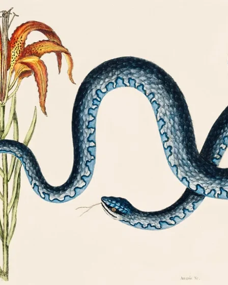 serpente blu e fiore arancione