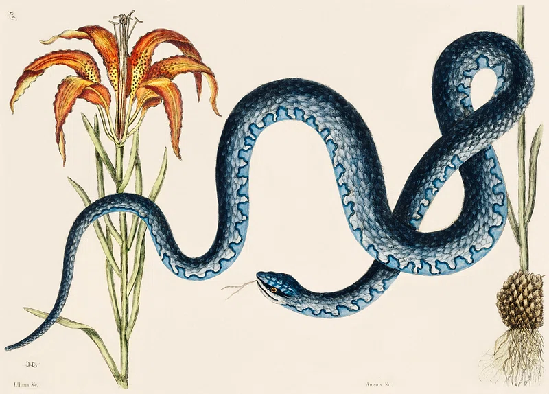 serpente blu e fiore arancione